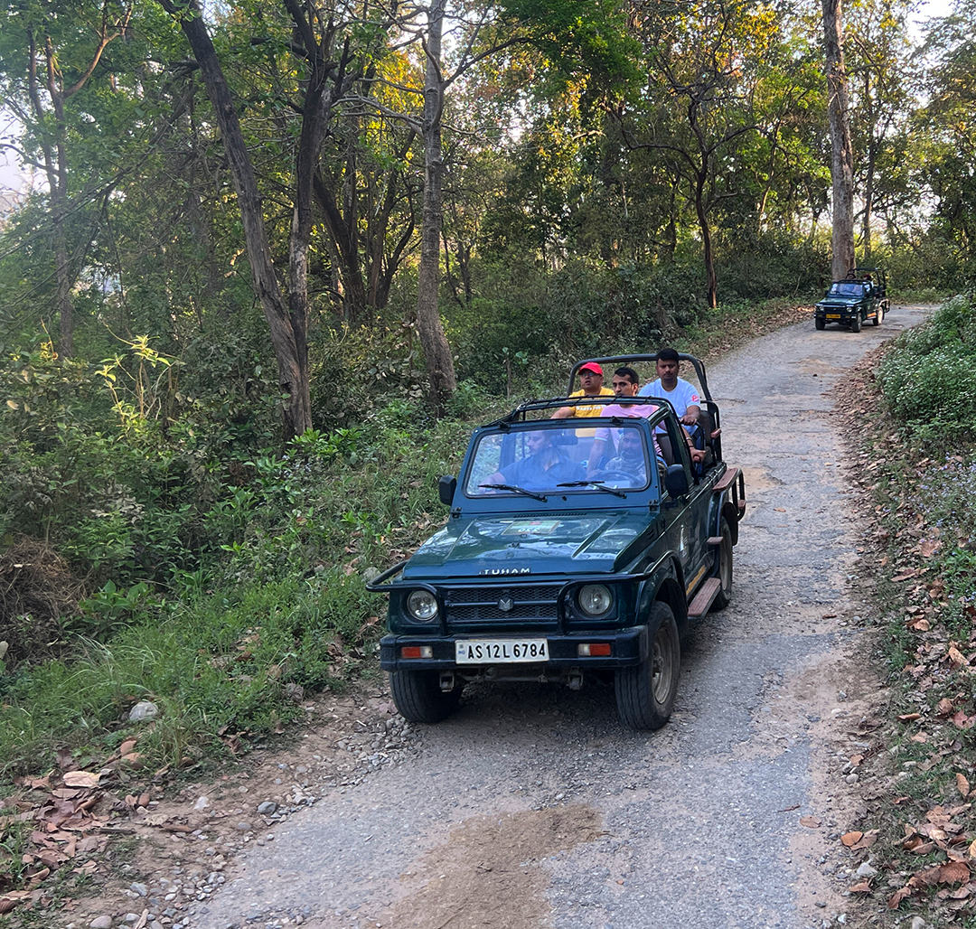 Orang Gypsy Safari